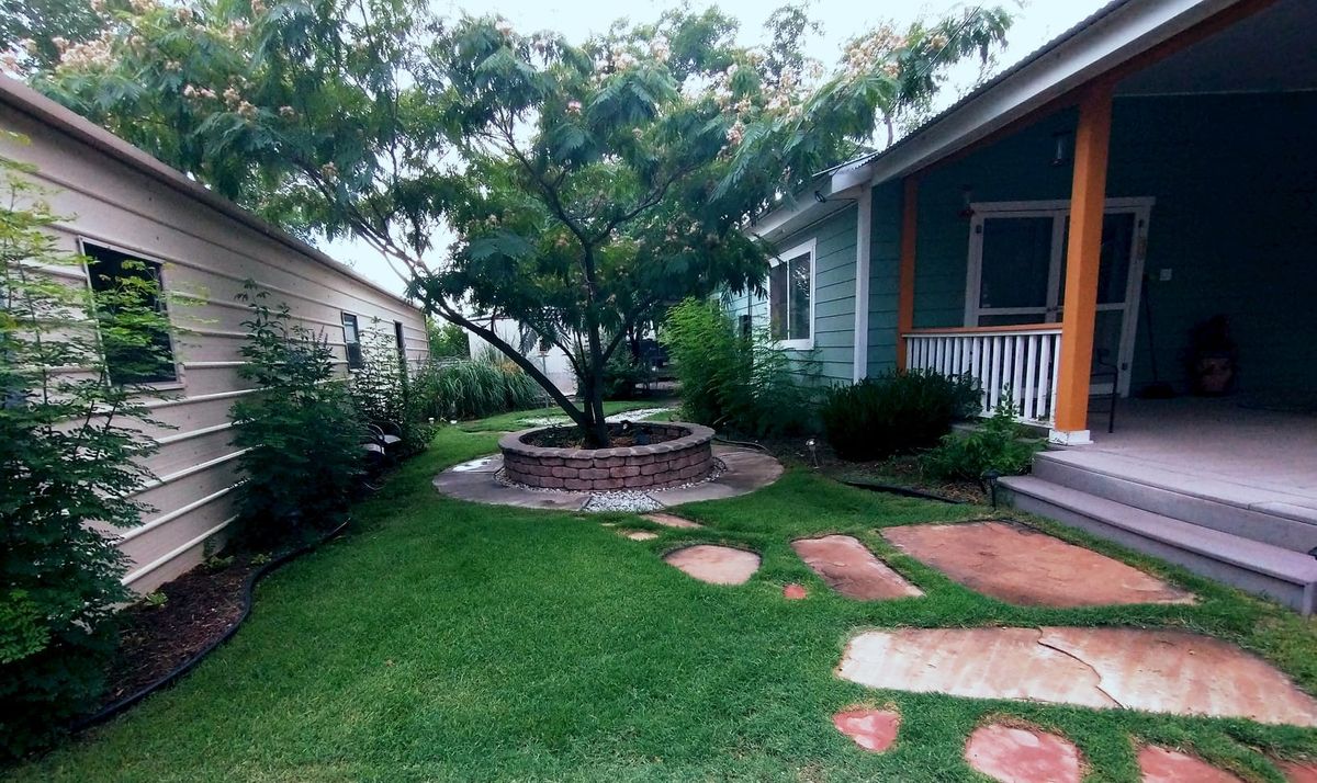 Green lawn, shrubs and a flowering mimosa tree in a residential courtyard